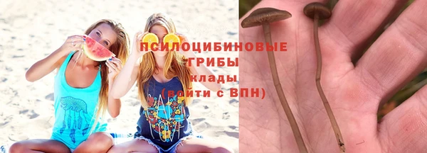 прущая мука Аркадак