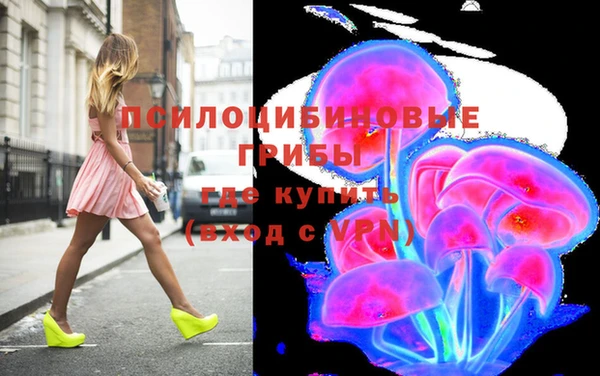 не бодяженный Арсеньев
