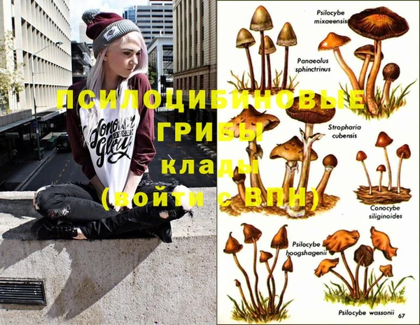 ешки Балабаново