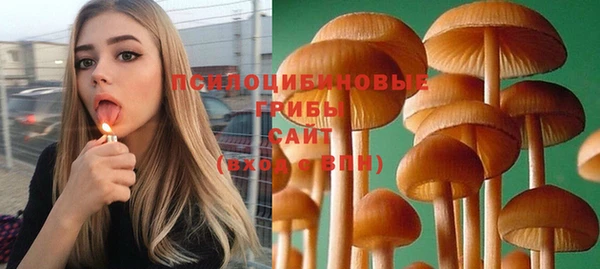 не бодяженный Арсеньев